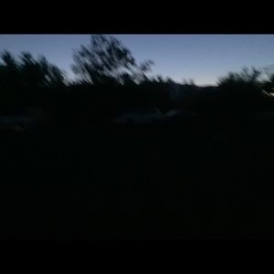 Meet your Posher, Linette